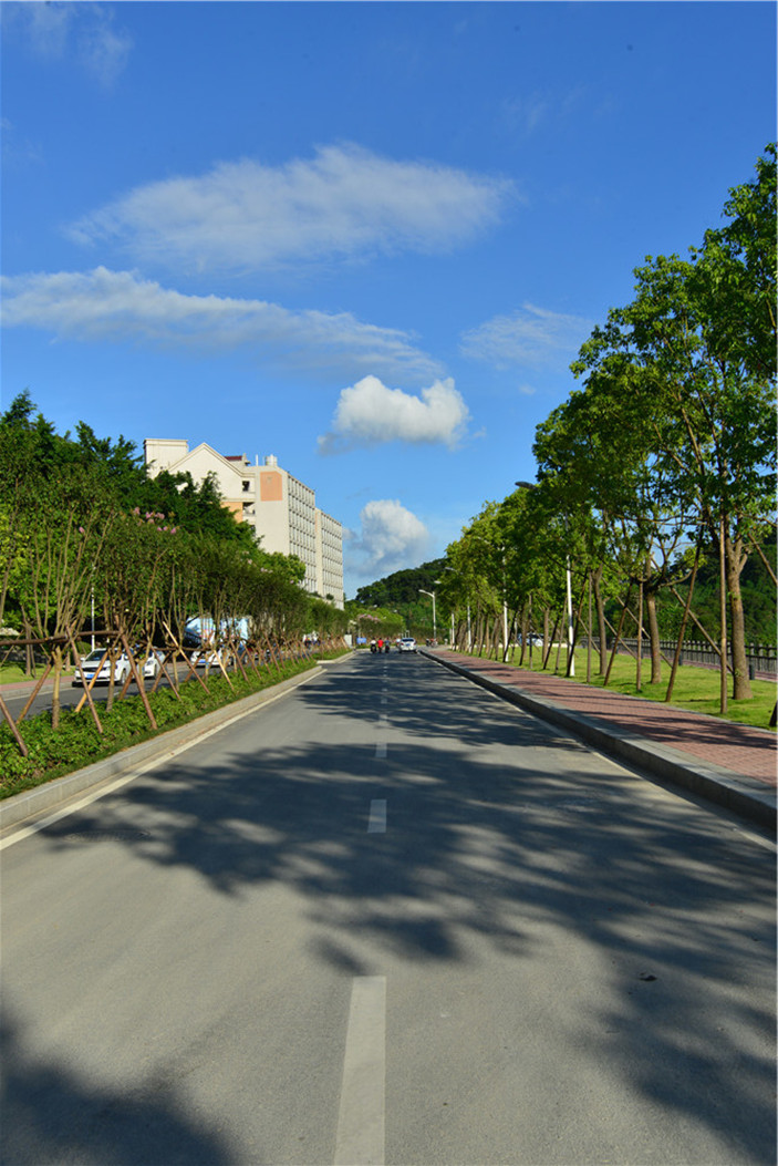 先睹为快！阳光学院“盛夏风光大片”新鲜出炉！16.jpg